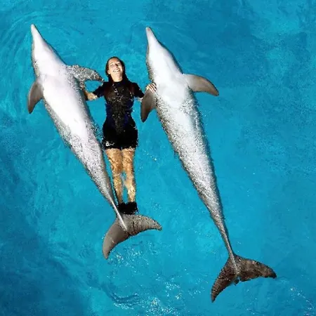 公寓 Vida & Mar At *